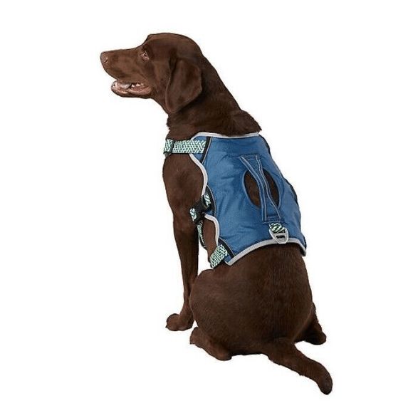 Arcadia Trail Ultimate Security Escape Proof Dog Harness Size Small Blue Green - Picture 1 of 4